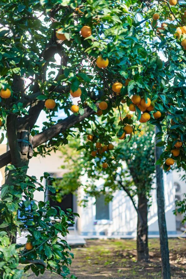 ホテル Pane E Marmellata サンタニェッロ エクステリア 写真
